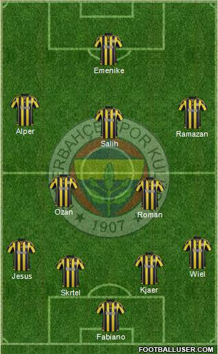 Fenerbahçe SK Formation 2016