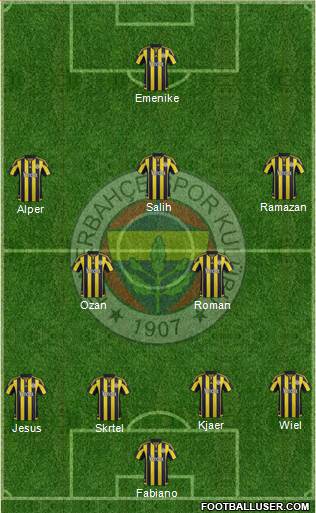 Fenerbahçe SK Formation 2016