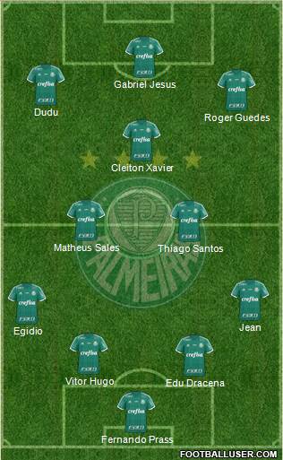 SE Palmeiras Formation 2016