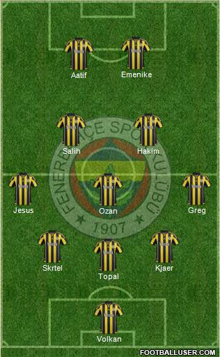 Fenerbahçe SK Formation 2016
