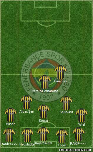Fenerbahçe SK Formation 2016