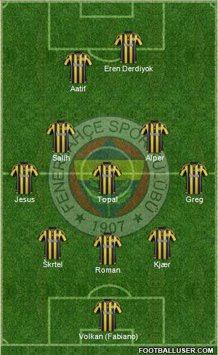 Fenerbahçe SK Formation 2016
