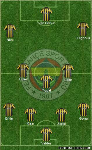 Fenerbahçe SK Formation 2016