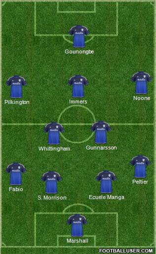 Cardiff City Formation 2016