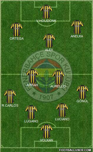 Fenerbahçe SK Formation 2016