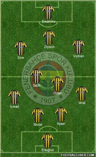 Fenerbahçe SK Formation 2016