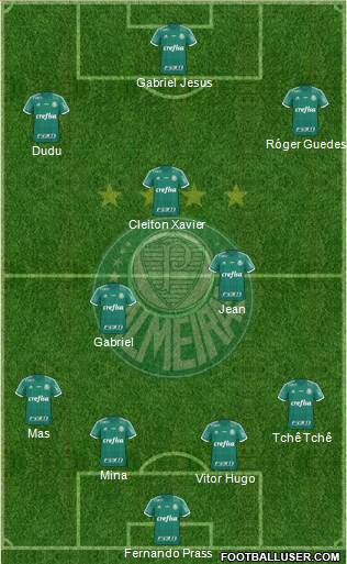 SE Palmeiras Formation 2016