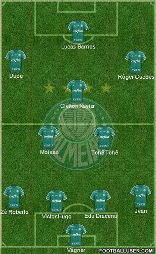 SE Palmeiras Formation 2016