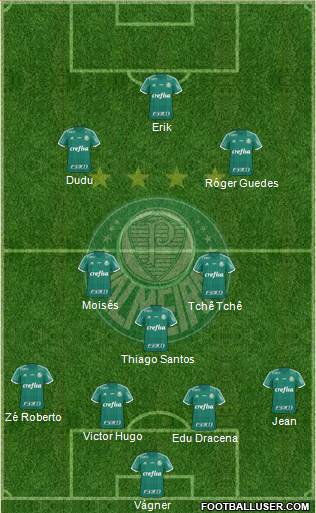 SE Palmeiras Formation 2016