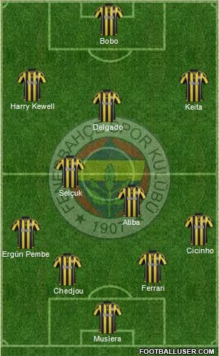 Fenerbahçe SK Formation 2016