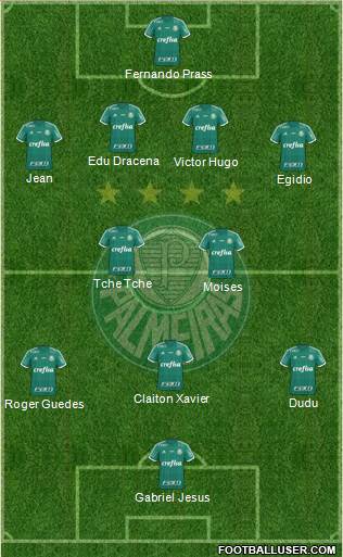 SE Palmeiras Formation 2016