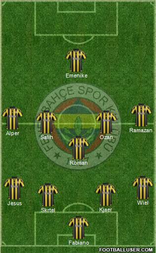 Fenerbahçe SK Formation 2016