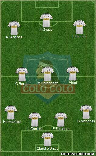 CSD Colo Colo Formation 2016
