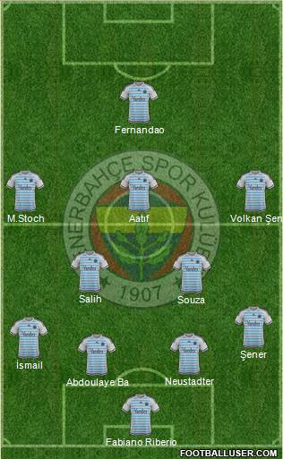 Fenerbahçe SK Formation 2016
