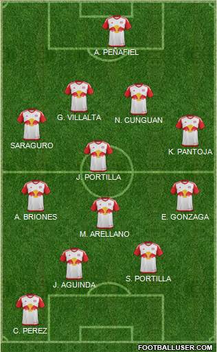 New York Red Bulls Formation 2016