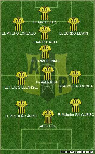 Alianza Petrolera AS Formation 2016