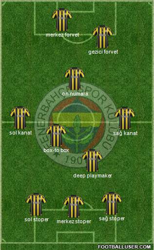 Fenerbahçe SK Formation 2016