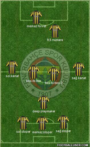 Fenerbahçe SK Formation 2016