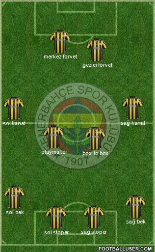 Fenerbahçe SK Formation 2016