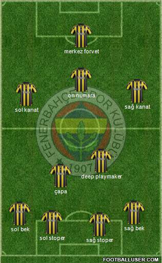 Fenerbahçe SK Formation 2016