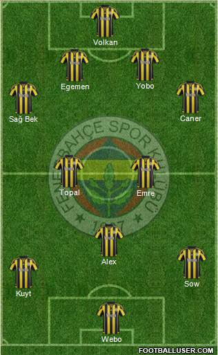 Fenerbahçe SK Formation 2016