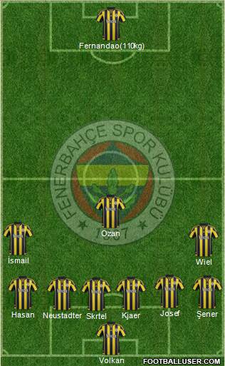 Fenerbahçe SK Formation 2016