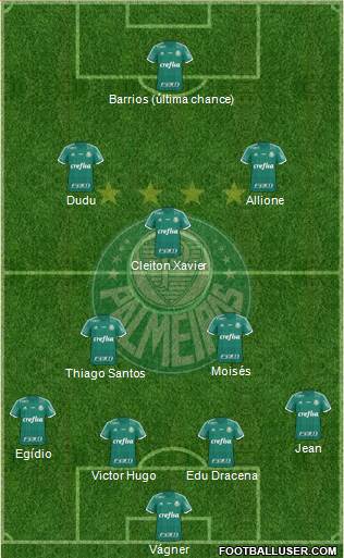 SE Palmeiras Formation 2016