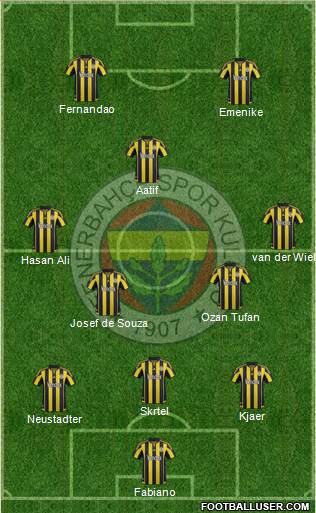 Fenerbahçe SK Formation 2016