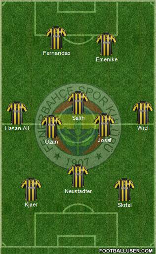Fenerbahçe SK Formation 2016