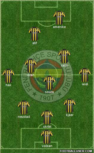 Fenerbahçe SK Formation 2016