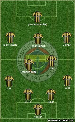 Fenerbahçe SK Formation 2016