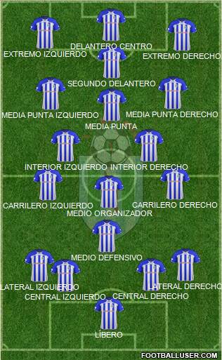 FC Renova Dzepciste Formation 2016