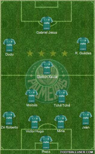 SE Palmeiras Formation 2016