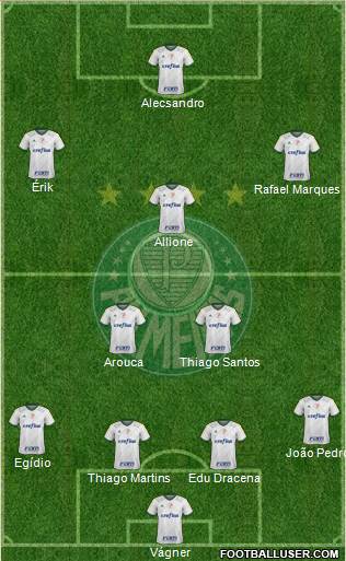SE Palmeiras Formation 2016