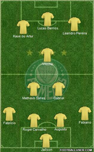 SE Palmeiras Formation 2016