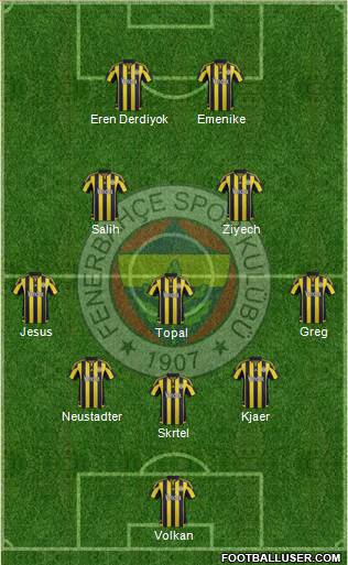 Fenerbahçe SK Formation 2016