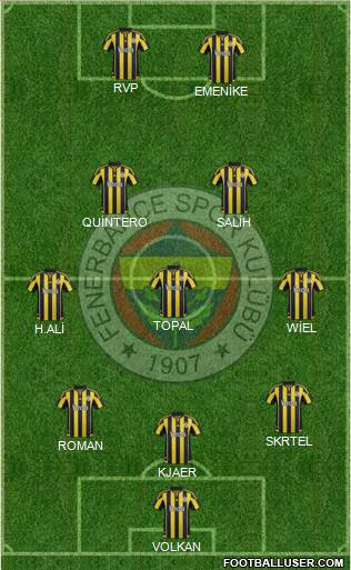Fenerbahçe SK Formation 2016