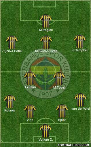 Fenerbahçe SK Formation 2016