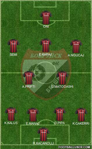 Belshina Bobruisk football formation