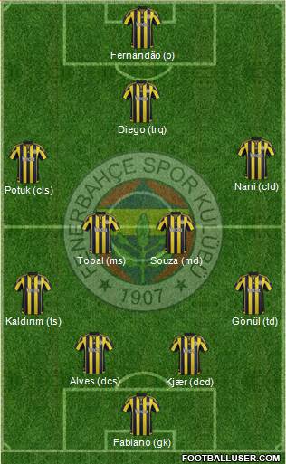 Fenerbahçe SK Formation 2016