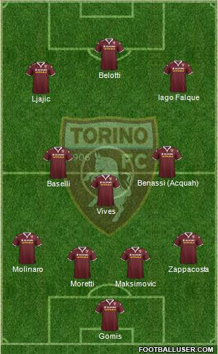 Torino Formation 2016