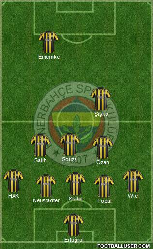 Fenerbahçe SK Formation 2016