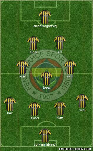 Fenerbahçe SK Formation 2016