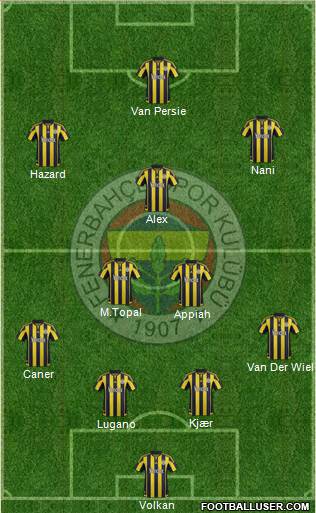 Fenerbahçe SK Formation 2016