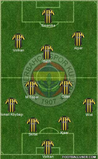 Fenerbahçe SK Formation 2016