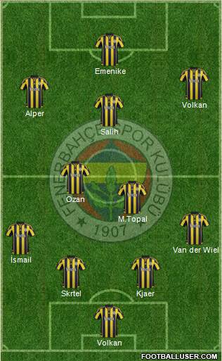 Fenerbahçe SK Formation 2016