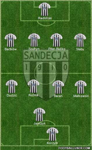Sandecja Nowy Sacz Formation 2016