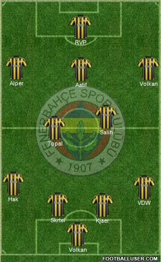 Fenerbahçe SK Formation 2016