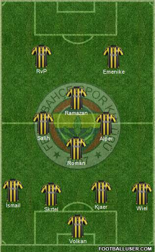 Fenerbahçe SK Formation 2016