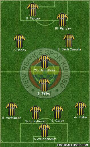 Fenerbahçe SK Formation 2016